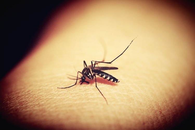 https://webradioparacuru.com/uploads/news/Jales confirma a primeira morte por dengue neste ano