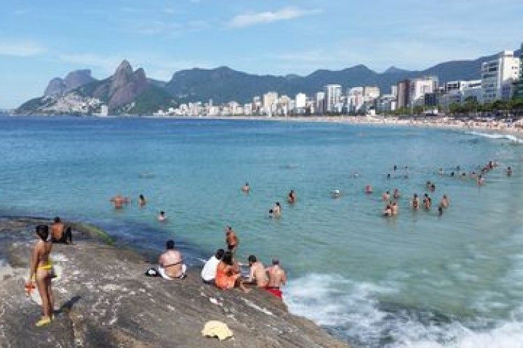 https://webradioparacuru.com/uploads/news/Elefante-marinho vira atração de surfistas e banhistas no Rio