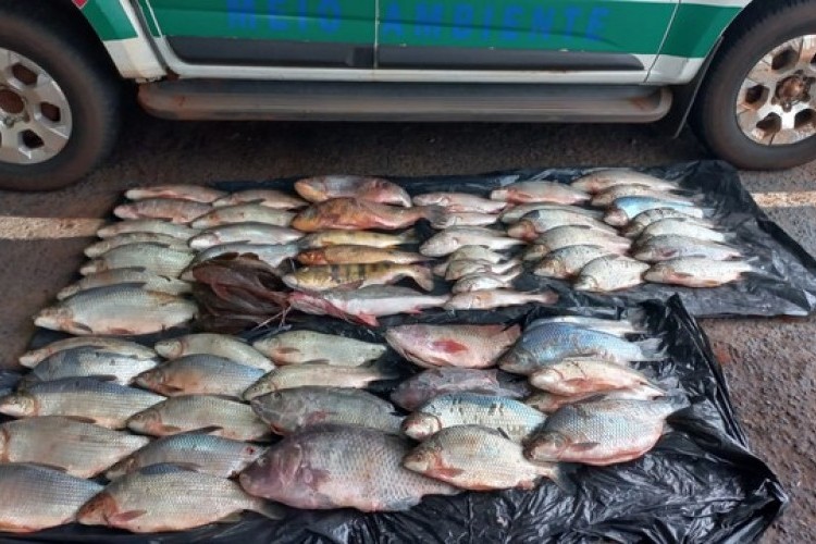 https://webradioparacuru.com/uploads/news/Homem é detido com 80kg de pescado ilegal em porta-malas de carro em Ituiutaba