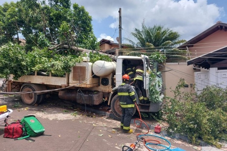 https://webradioparacuru.com/uploads/news/Caminhoneiro fica ferido após bater em poste de energia elétrica em Olímpia